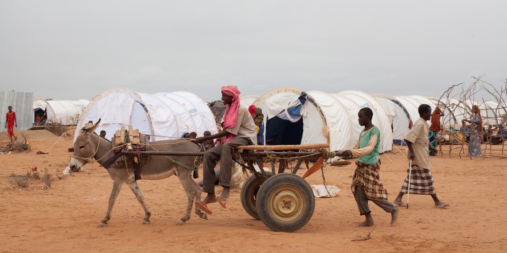 Des réfugiés somaliens arrivés dans le camp de Dadaab en juillet 2011. © UNHCR / B. Bannon