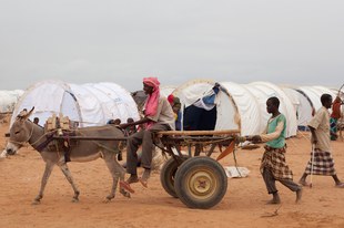 La fermeture du plus grand camp de réfugiés du monde va mettre des vies en danger