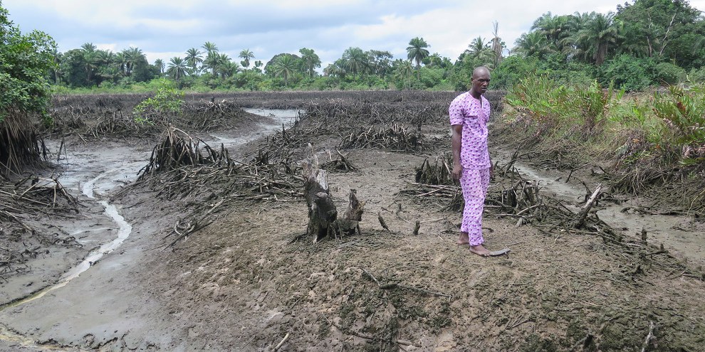 Dans le Delta du Niger, les déversements de pétrole provoquent des effets dévastateurs sur l'environnement. © Amnesty International