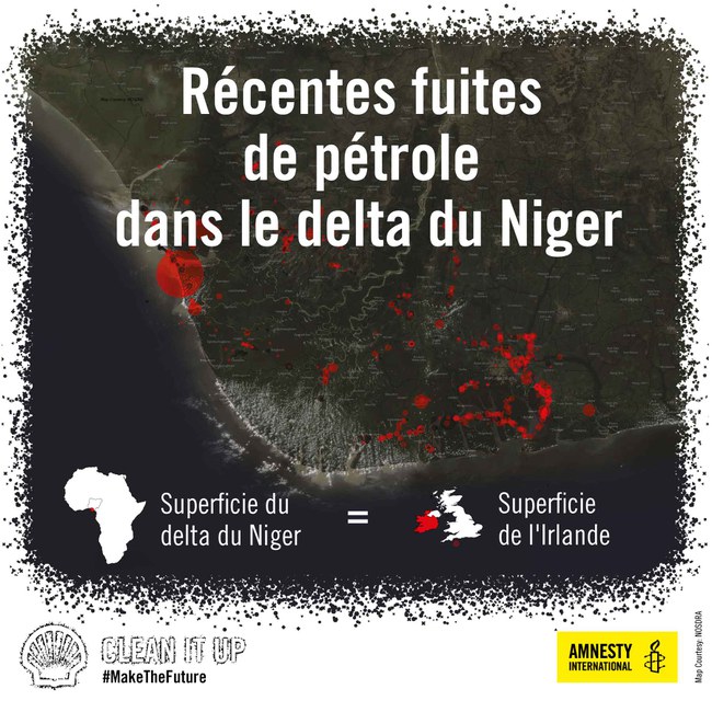 Niger-delta-infographics-final-01_F.jpg
