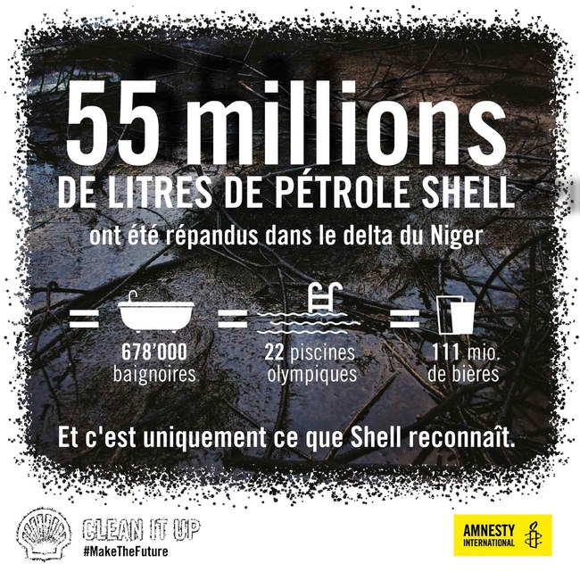 Niger-delta-infographics-final-03_F.jpg
