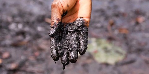 Shell reconnaît que 55 millions de litres de son pétrole ont été déversés dans le delta du Niger, mais le chiffre pourrait être beaucoup plus élevé. © Amnesty International