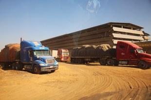 L’extraction industrielle de cobalt et de cuivre entraîne de graves atteintes aux droits humains
