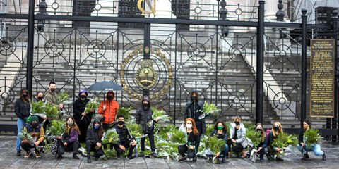 À l'occasion de la Journée internationale d'action pour un avortement légal et sans risque, des militant·e·s argentin·ne·s ont envoyé au Congrès des centaines de bouquets de plantes, souvent utilisées pour déclencher des avortements dangereux pouvant être mortels.  © Amnesty International Argentina