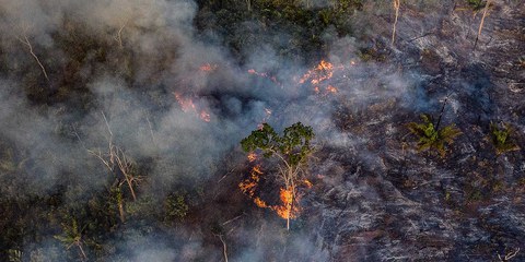 Photographie de la forêt amazonienne prise par un drone. © Anthony Cole / Amnesty International