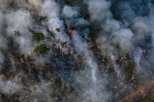 Les manquements du gouvernement alimentent les feux de forêt en Amazonie