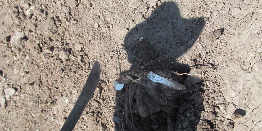 L'ombre d'un paysan expulsé d'El Tamarindo en décembre 2013. © Amnesty International