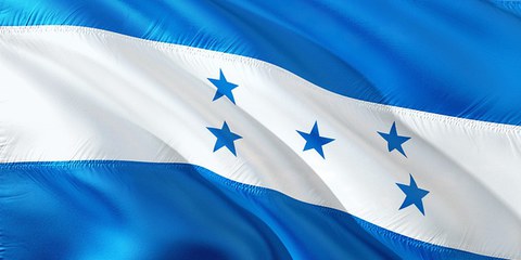 Au moins 14 personnes sont mortes, la plupart de blessures par balles, et des dizaines ont été blessées dans le contexte de manifestations largement pacifiques organisées depuis l'élection du dimanche 26 novembre. © pixabay (jorono) / Image d'icône (droits expirés de l'image originale de cet article)