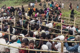 Amnesty établit que le traitement infligé aux Rohingyas s'apparente à un apartheid