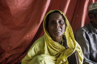 Crimes contre l'humanité systématiques visant à terroriser et chasser les Rohingyas