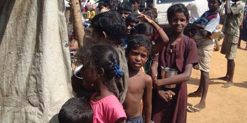 Les combats au Sri Lanka ont entraîné le déplacement de centaines de milliers de personnes. © DR
