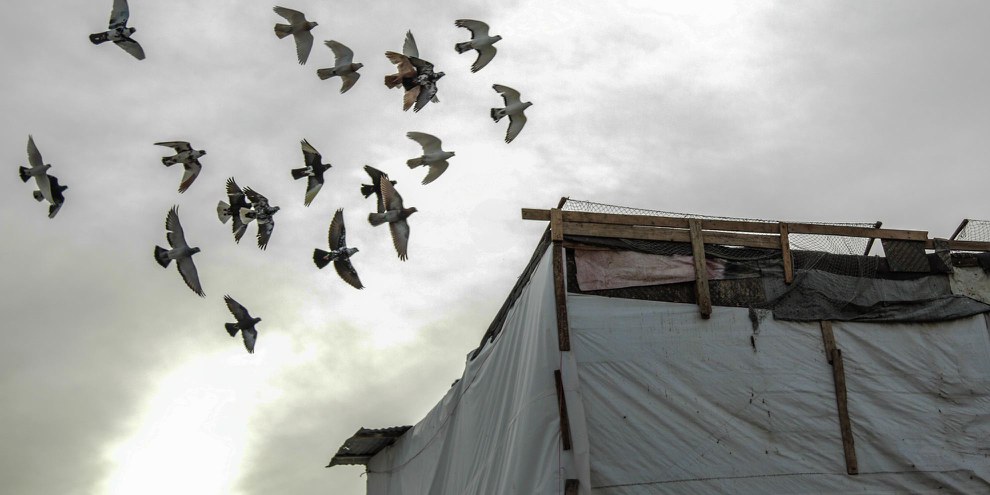 Des oiseaux survolent une tente dans un camp de réfugié·e·s syriens au Liban. Les pays voisins de la Syrie accueillent l'immense majorité des personnes fuyant le conflit. Les pays européens comme la France s'engagent timidement dans les programmes de réinstallation. Ceux-ci évitent pourtant aux personnes en quête d'un refuge de devoir mettre leur vie en danger par des traversées périlleuses comme celle de la mer Méditerranée. © Ali/Syrian Eyes