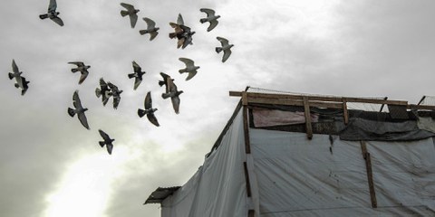 Des oiseaux survolent une tente dans un camp de réfugié·e·s syriens au Liban. Les pays voisins de la Syrie accueillent l'immense majorité des personnes fuyant le conflit. Les pays européens comme la France s'engagent timidement dans les programmes de réinstallation. Ceux-ci évitent pourtant aux personnes en quête d'un refuge de devoir mettre leur vie en danger par des traversées périlleuses comme celle de la mer Méditerranée. © Ali/Syrian Eyes