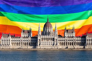 Une loi homophobe et transphobe stigmatise les personnes LGBTQIA+
