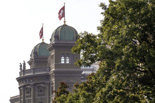 Le Parlement doit garantir le respect des droits humains dans les fédérations sportives