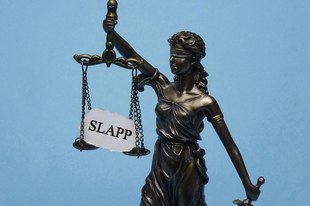 Les acquittements dans la plainte pénale en diffamation du groupe Kolmar sont un pas vers la justice
