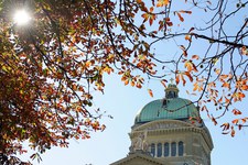 Droits humains au Parlement: Automne 2024