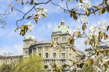 Droits humains au Parlement: Printemps 2025