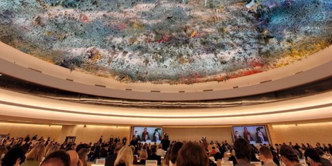 Le Conseil des droits de l'homme de l'ONU à Genève © DR