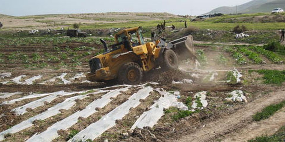 Un bulldozer de l’armée israélienne détruit les plantations et le système d’irrigation palestinien © Shabtai Gold/IRIN