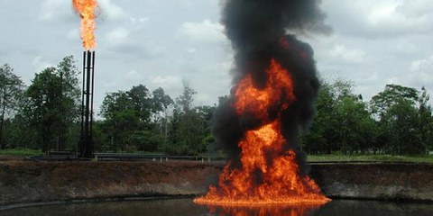Projection du reportage «Pablo Fajardo un indien contre les compagnies pétrolières»
