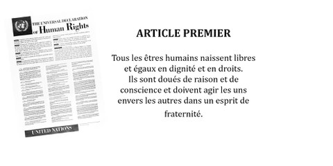 La Déclaration universelle des droits de l'homme dans un langage plus inclusif et moins discriminatoire
