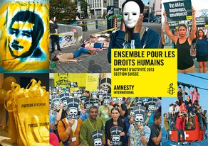 Rapport d'activité 2013 de la section suisse d'Amnesty International