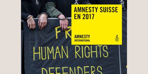 Rapport d'activité 2017