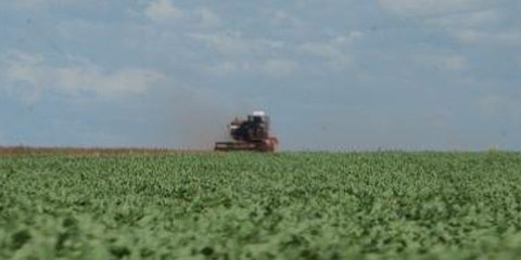 Les «biocarburants» n'ont de bio que le nom et entrainent de graves violations des droits huamains.  © Reto Sonderegger