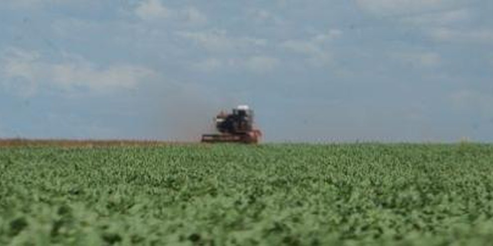 Les «biocarburants» n'ont de bio que le nom et entrainent de graves violations des droits huamains.  © Reto Sonderegger