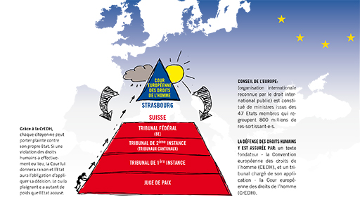 infographie CrEDH.jpg