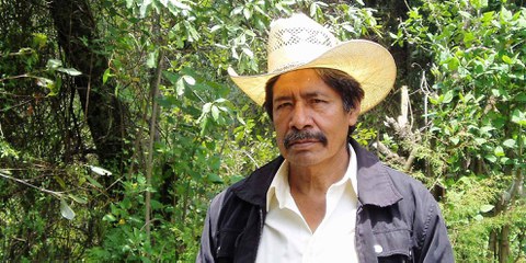 Ildefonso Zamora est chez lui au milieu des arbres, qu’il défend contre les bandes qui exploitent illégalement la forêt. © Wolf-Dieter Vogel