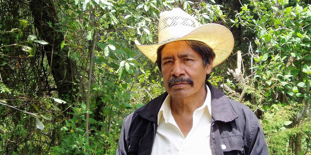 Ildefonso Zamora est chez lui au milieu des arbres, qu’il défend contre les bandes qui exploitent illégalement la forêt. © Wolf-Dieter Vogel