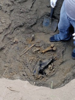 287 corps ont déjà été retrouvés dans cette zone, grâce aux efforts des militantes de Solecito. Seuls 16 ont été identifiés – par manque d’argent, selon l’État. © Cédric Reichenbach