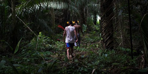 Les populations indigènes du Brésil craignent pour leur vie depuis l'élection de Jair Bolsonaro.©Gabriel Uchida