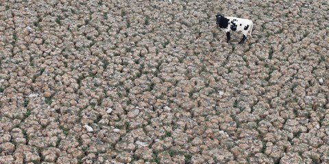 À quelques kilomètres de Santiago, la lagune d’Aculeo était autrefois remplie d’eau. © REUTERS/Rodrigo Garrido