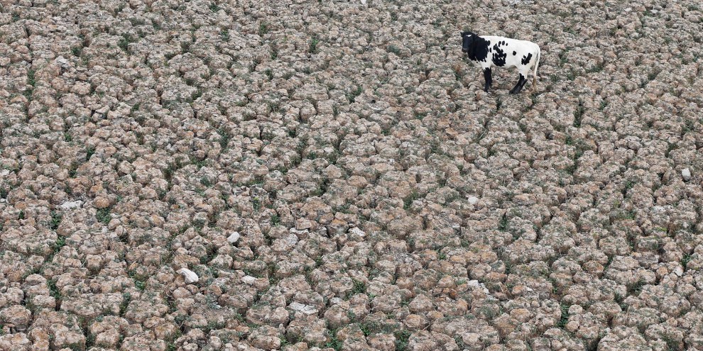 À quelques kilomètres de Santiago, la lagune d’Aculeo était autrefois remplie d’eau. © REUTERS/Rodrigo Garrido