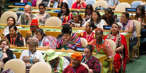 © Rick Bajornas/United Nations Photo