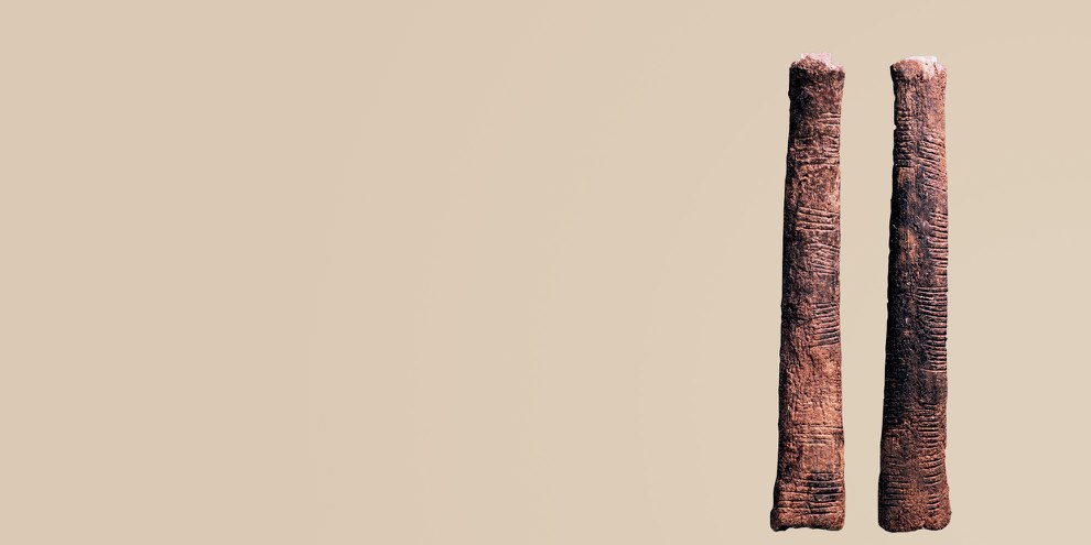 Peut-être le plus ancien instrument de calcul au monde : l’os d’Ishango, trouvé au Congo, fait actuellement partie de la collection de l’Institut royal belge des sciences naturelles. © agefotostock/IMAGO