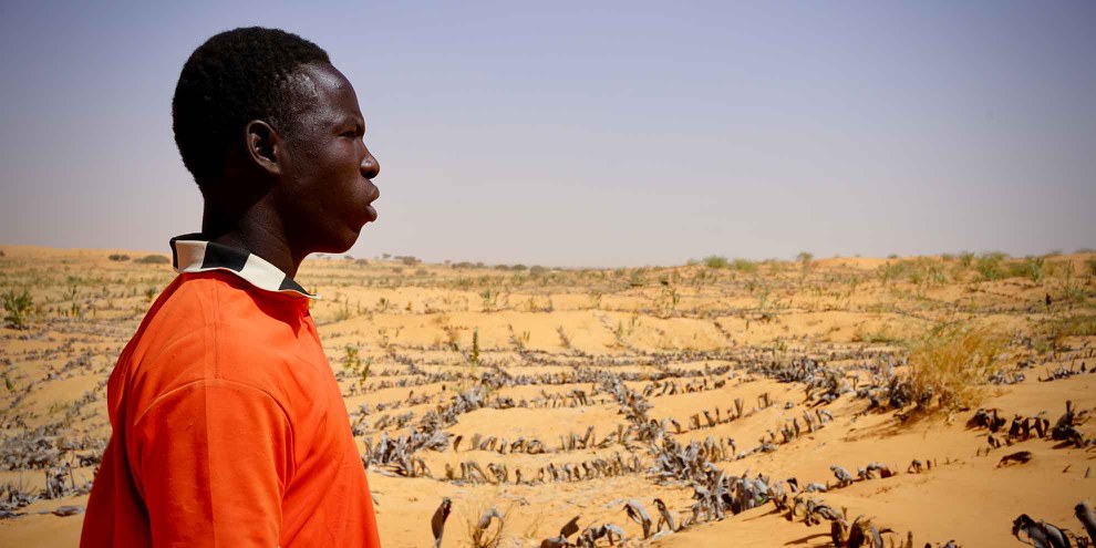 « Certains jeunes dans la région sont tentés de rejoindre Boko Haram ou de partir en exil parce qu’ils n’ont pas de travail. » Adam Aboubacar, habitant de Maïné-Soroa.© Louise Lascouès
