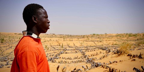 « Certains jeunes dans la région sont tentés de rejoindre Boko Haram ou de partir en exil parce qu’ils n’ont pas de travail. » Adam Aboubacar, habitant de Maïné-Soroa.© Louise Lascouès