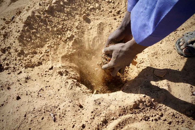Niger_Web_3.jpg