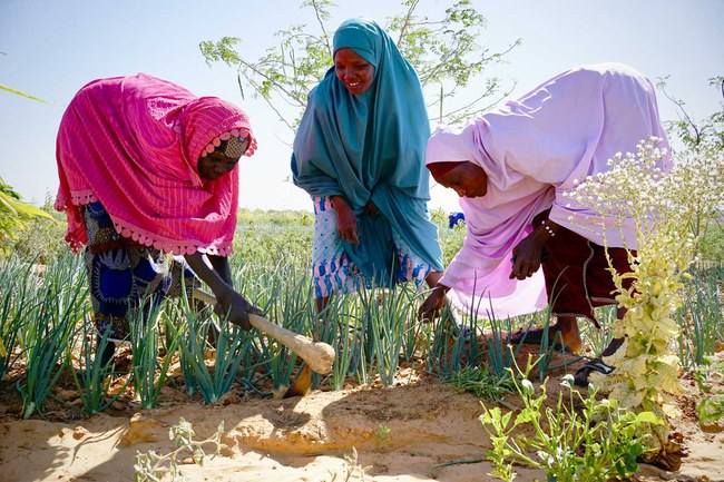 Niger_Web_5.jpg