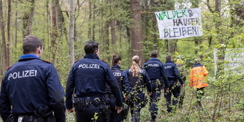 Les moyens mobilisés pour déloger les activistes qui occupaient la forêt de Rümlang le 20 avril 2023 étaient disproportionnés. © DR