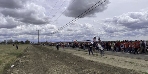 Le secteur agricole qui emploie beaucoup de travailleur·euse·x·s migrant·e·x·s est particulièrement touché par les déportations. En mars, plus de 5000 personnes s’étaient réunies en Californie pour soutenir les ouvrier·ère·x·s immigré·e·x·s menacé·e·x·s d’expulsion. © Arndt Peltner