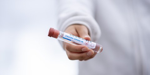 Les gouvernements latino-américains doivent garantir une campagne de vaccination transparente © fernandozhiminaicela - Pixabay