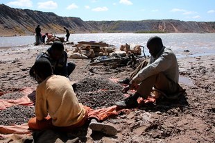 Les géants industriels négligent leurs chaînes d'approvisionnement en cobalt pour les batteries