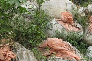 Déchets toxiques: Trafigura doit être rendue juridiquement responsable