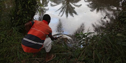 Les marécages de Barabeedom, Kegbara Dere, au Nigeria, restent contaminés par le pétrole des années après les déversements pétroliers.© Amnesty International