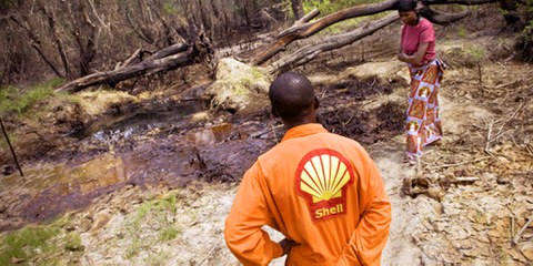 Sur le bord d'un champ pollué par du pétrole à Iwhrekan, Delta du Niger, 25 février 2008. © Kadir van Lohuizen/NOOR